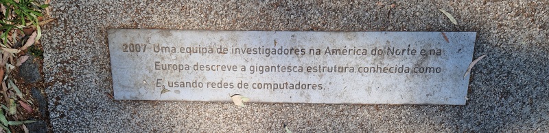 Image-20260729_110136.jpg