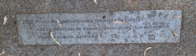 Image-20260729_110152.jpg